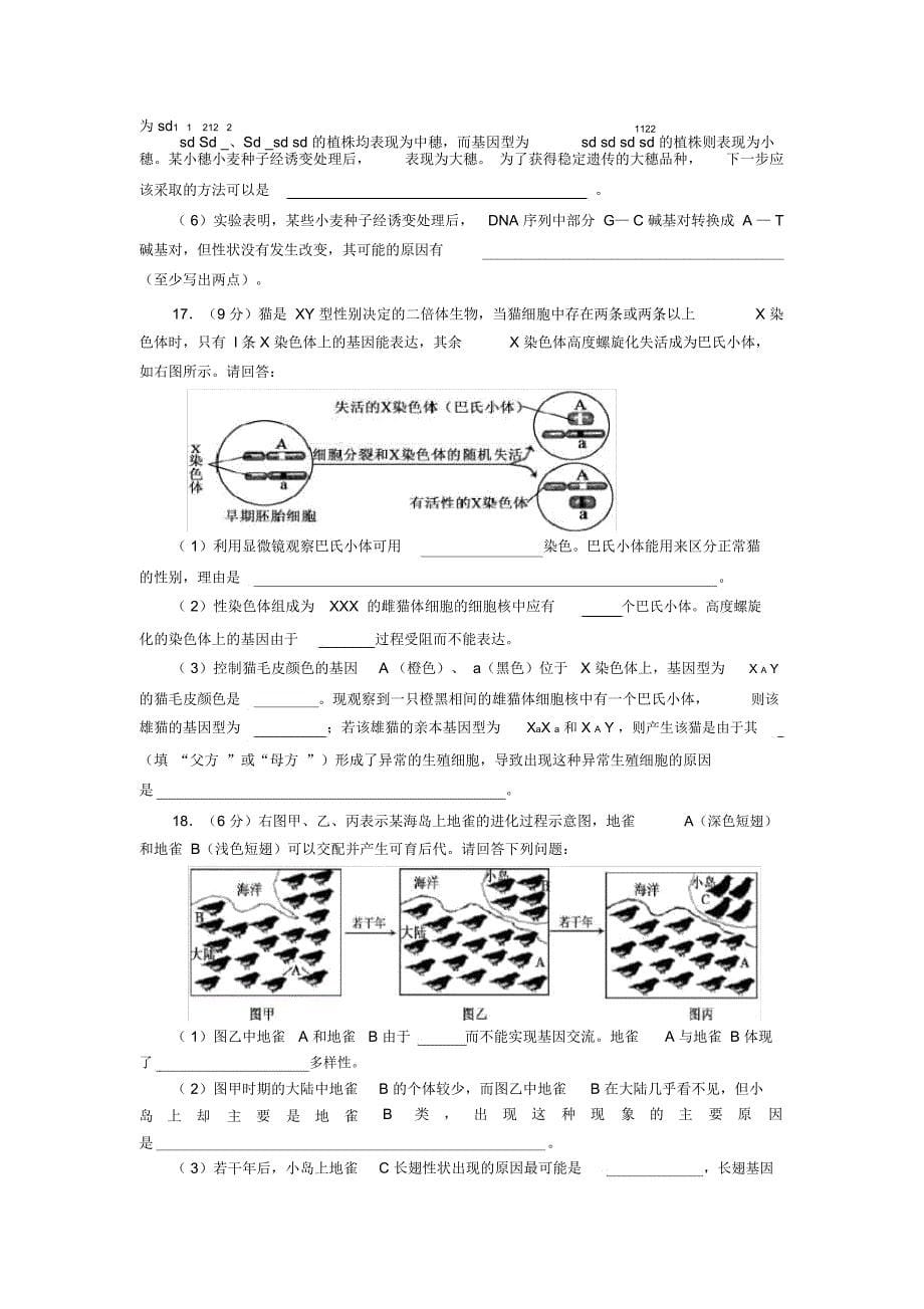 XXXX届生物二轮复习专题七生物的变异与进化专题测评_第5页