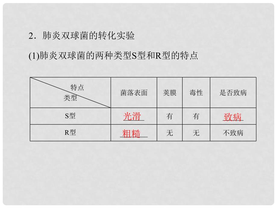 高中生物 第3章 第1节 DNA是主要的遗传物质课件 新人教版必修2_第4页