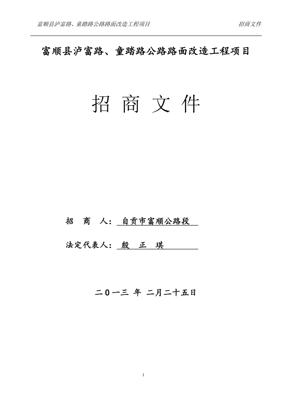 泸富路、童踏路道路改造工程(琵琶至怀德)招商文件_第1页