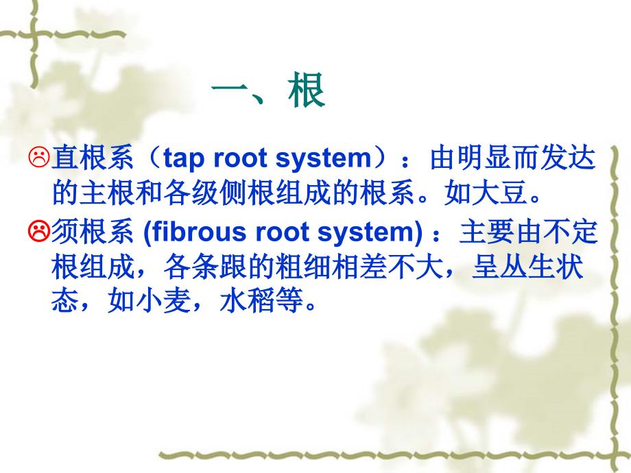 植物学课件：18 被子植物分类主要形态术语_第2页