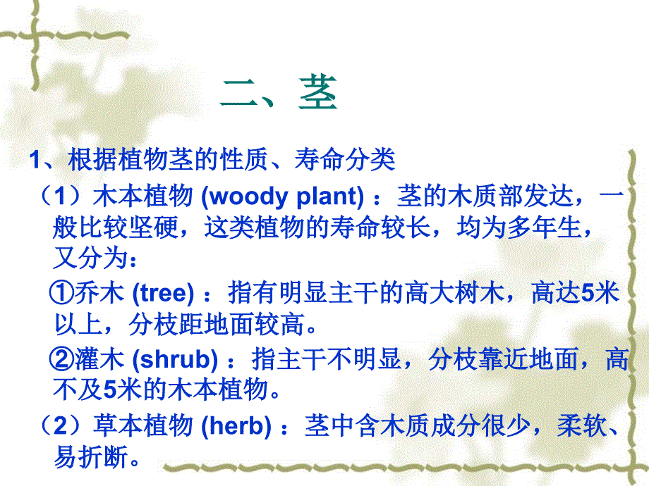 植物学课件：18 被子植物分类主要形态术语_第4页