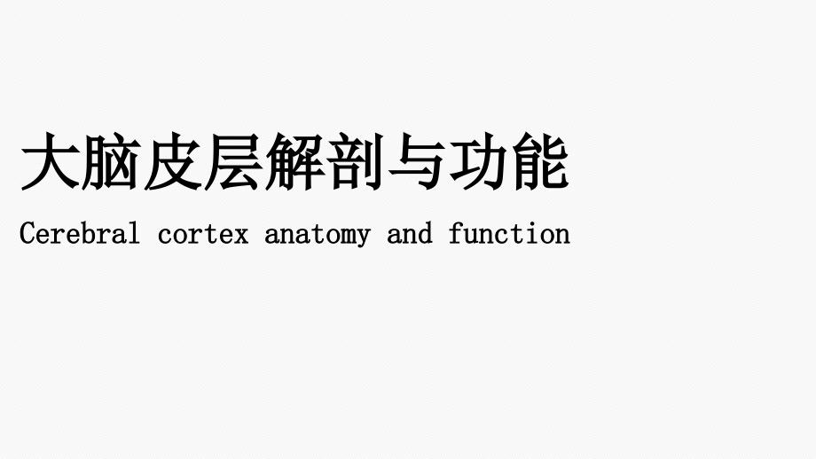 大脑皮层功能与解剖.ppt_第1页