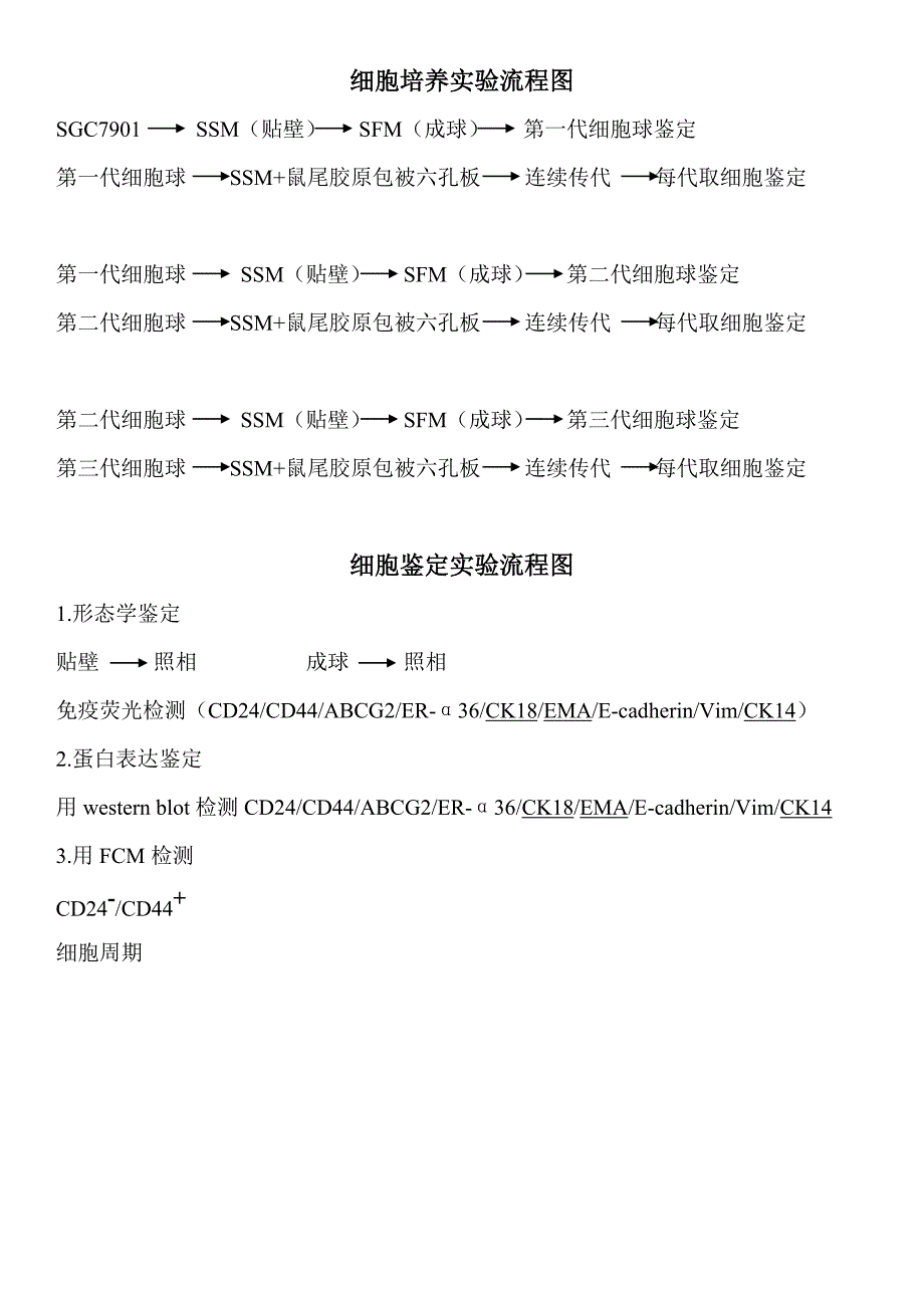 干细胞诱导实验计划_第3页