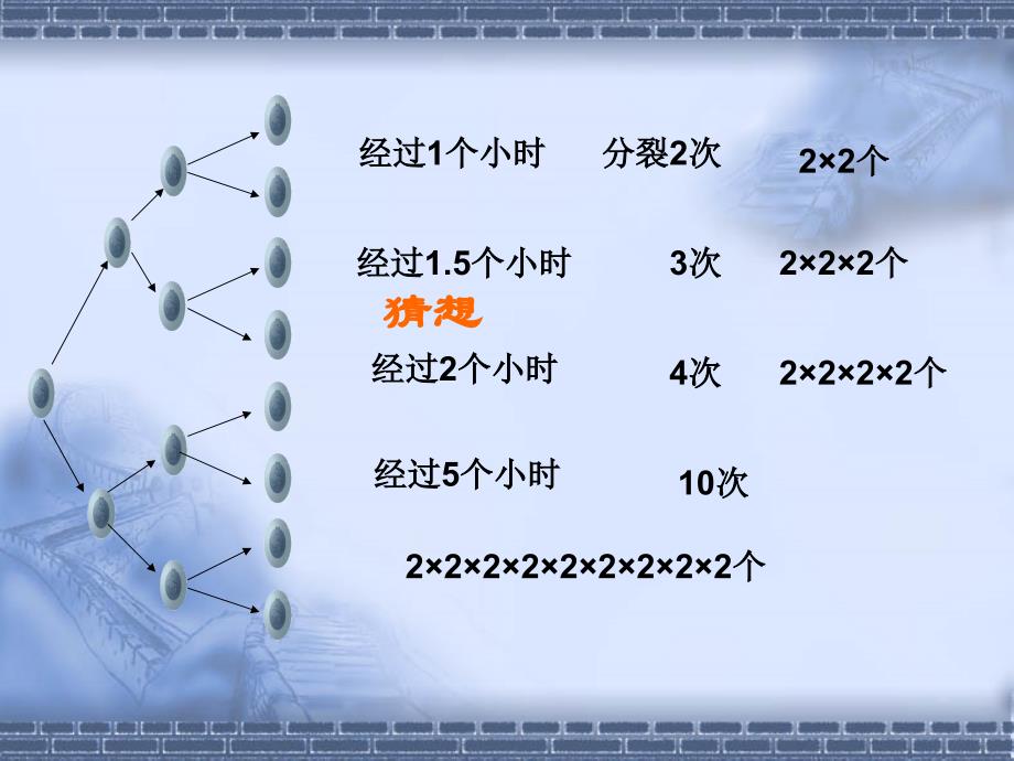 新人教七年级上有理数的乘方_第3页