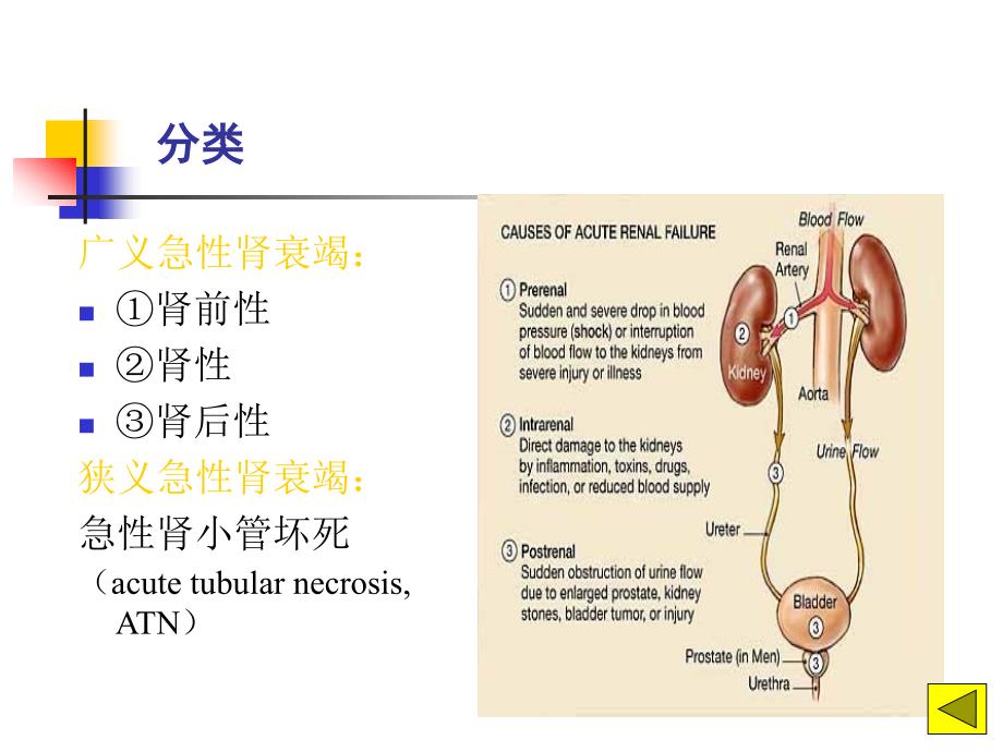 第六节急性肾衰竭_第4页