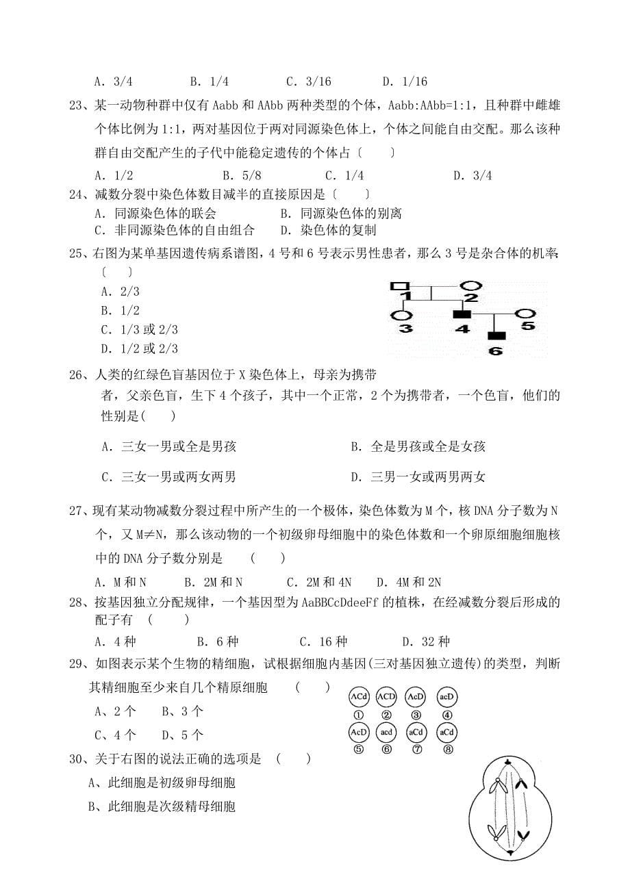 人教版试题试卷---学年下半学期聊城市高一生物_第5页