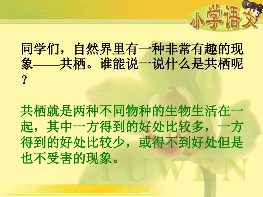 人教版四年级语文课件有趣的生物共栖现象课件_第4页