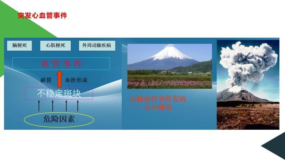 预防突发心脑血管事件健康讲座.ppt_第5页