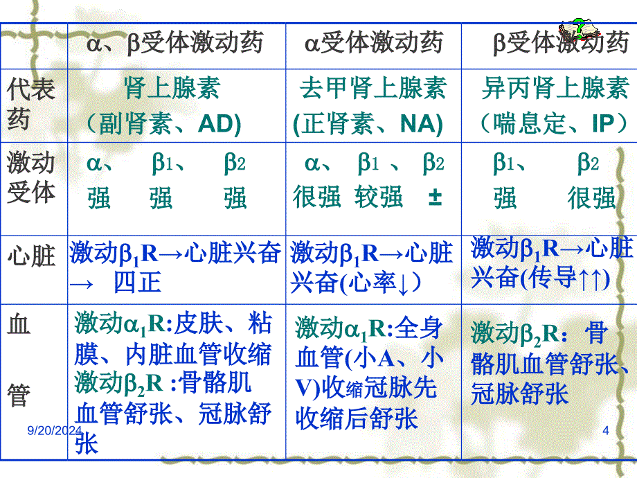 第8章拟肾上腺素药_第4页