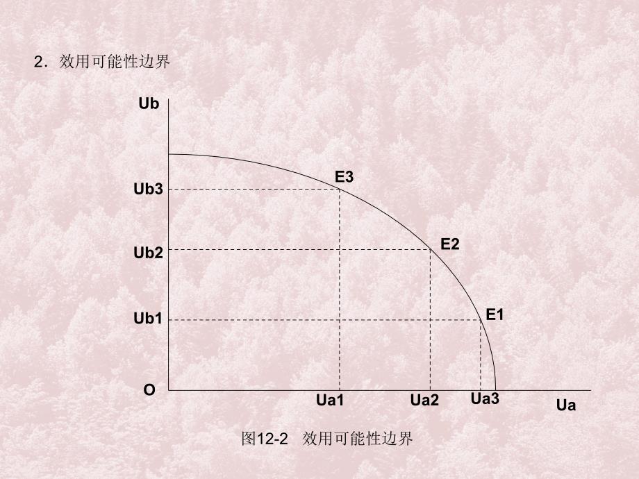 九章一般均衡与福利_第4页