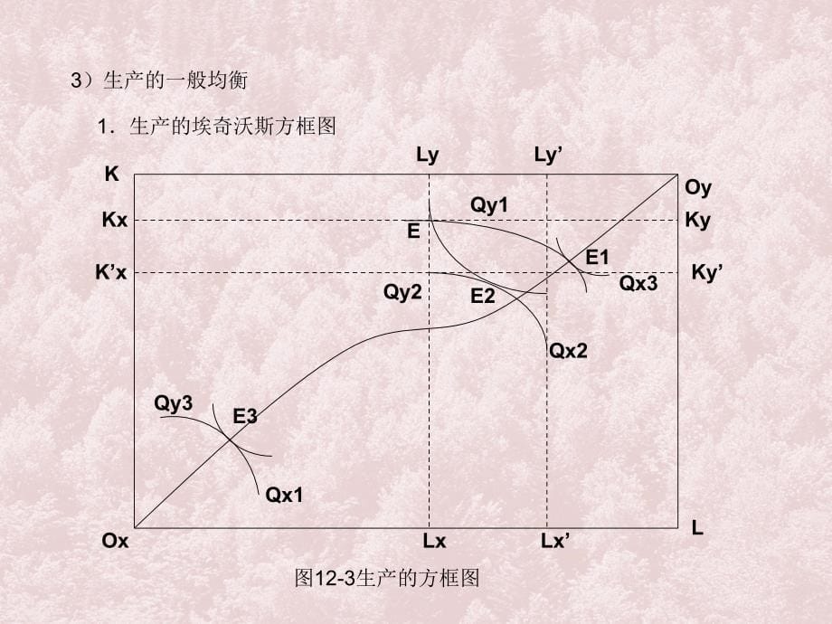 九章一般均衡与福利_第5页