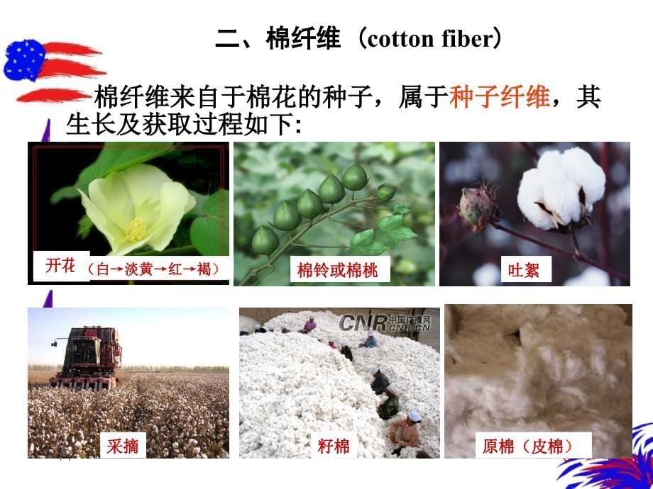 纺织行业及植物纤维材料管理知识分析_第5页