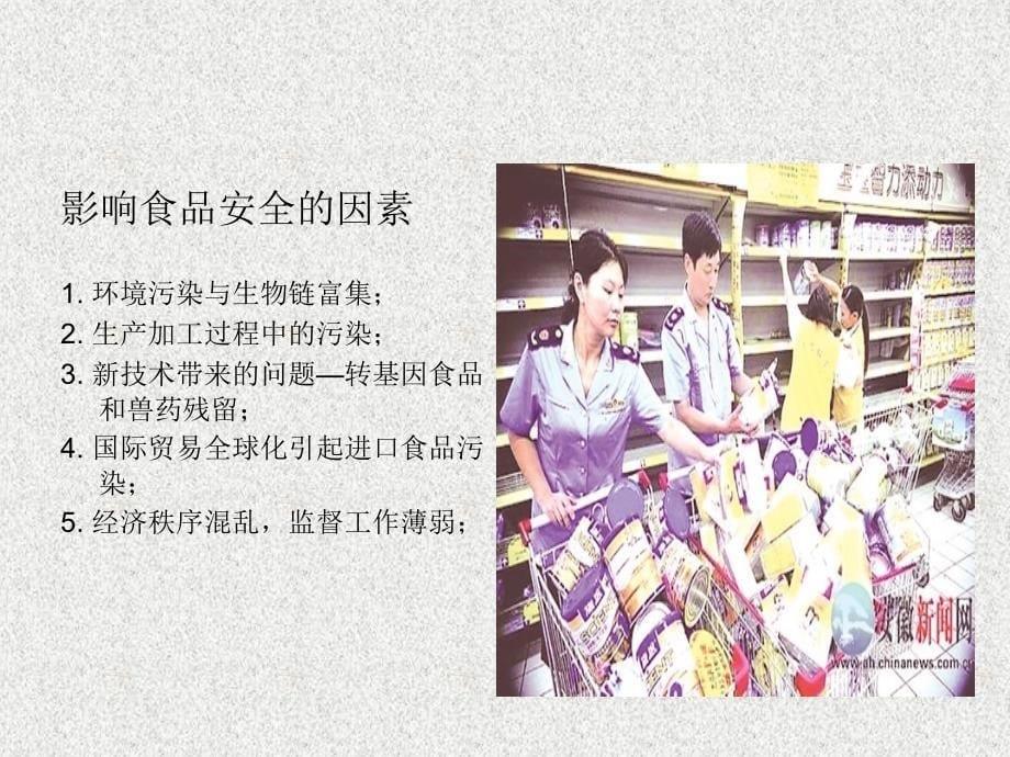 食品安全现状与对策_第5页