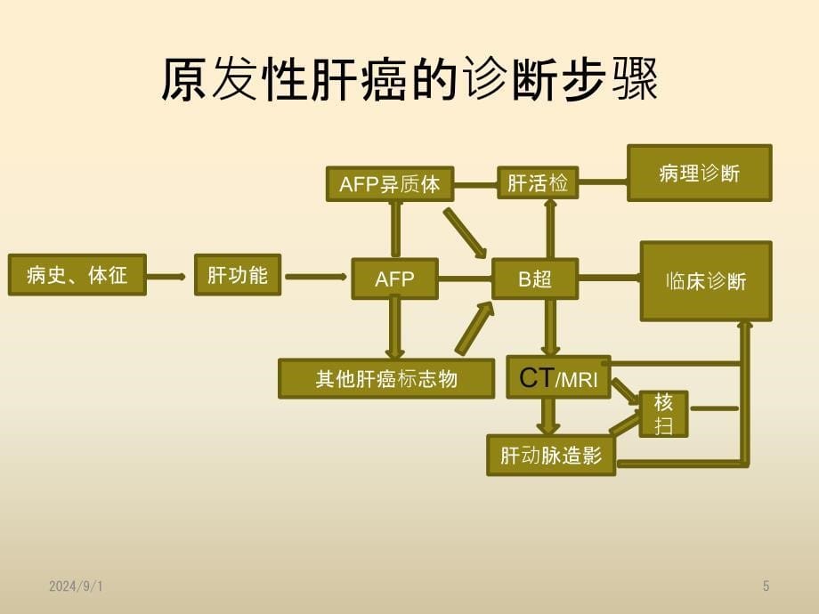 原发性肝癌CT表现与鉴别_第5页