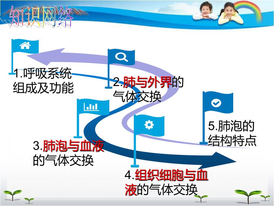 人体的呼吸复习ppt课件_第3页