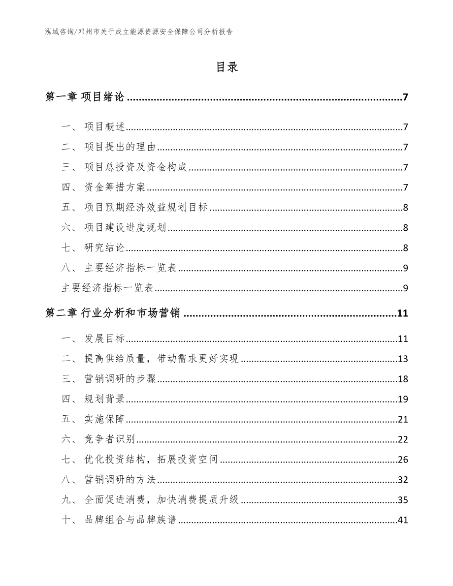 邓州市关于成立能源资源安全保障公司分析报告模板范文_第2页