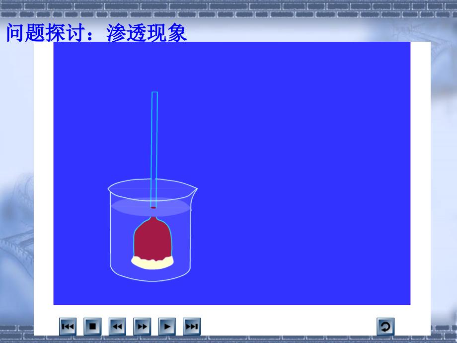 141物质跨膜运输实例_第3页