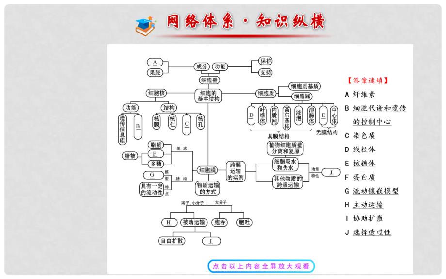 高中生物 第3、4章 细胞的基本结构 细胞的物质输入和输出阶段复习课课件 新人教版必修1_第2页