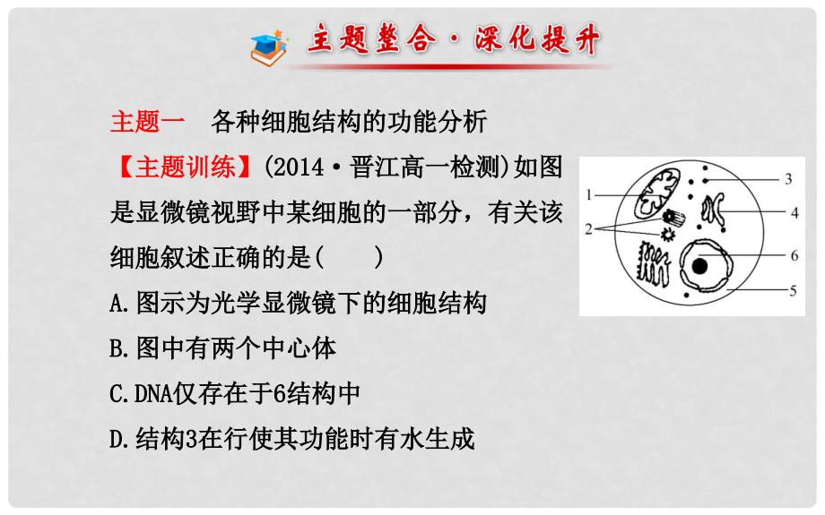 高中生物 第3、4章 细胞的基本结构 细胞的物质输入和输出阶段复习课课件 新人教版必修1_第3页