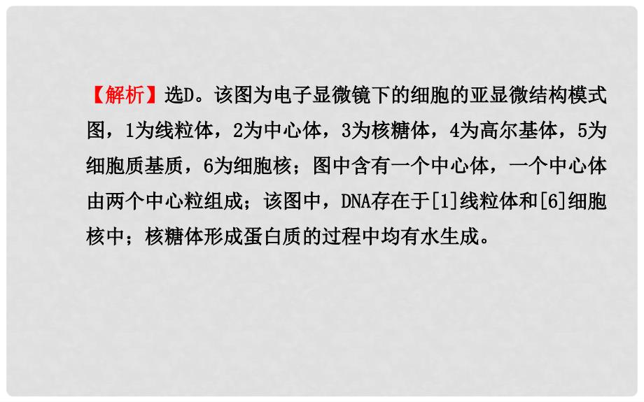 高中生物 第3、4章 细胞的基本结构 细胞的物质输入和输出阶段复习课课件 新人教版必修1_第4页