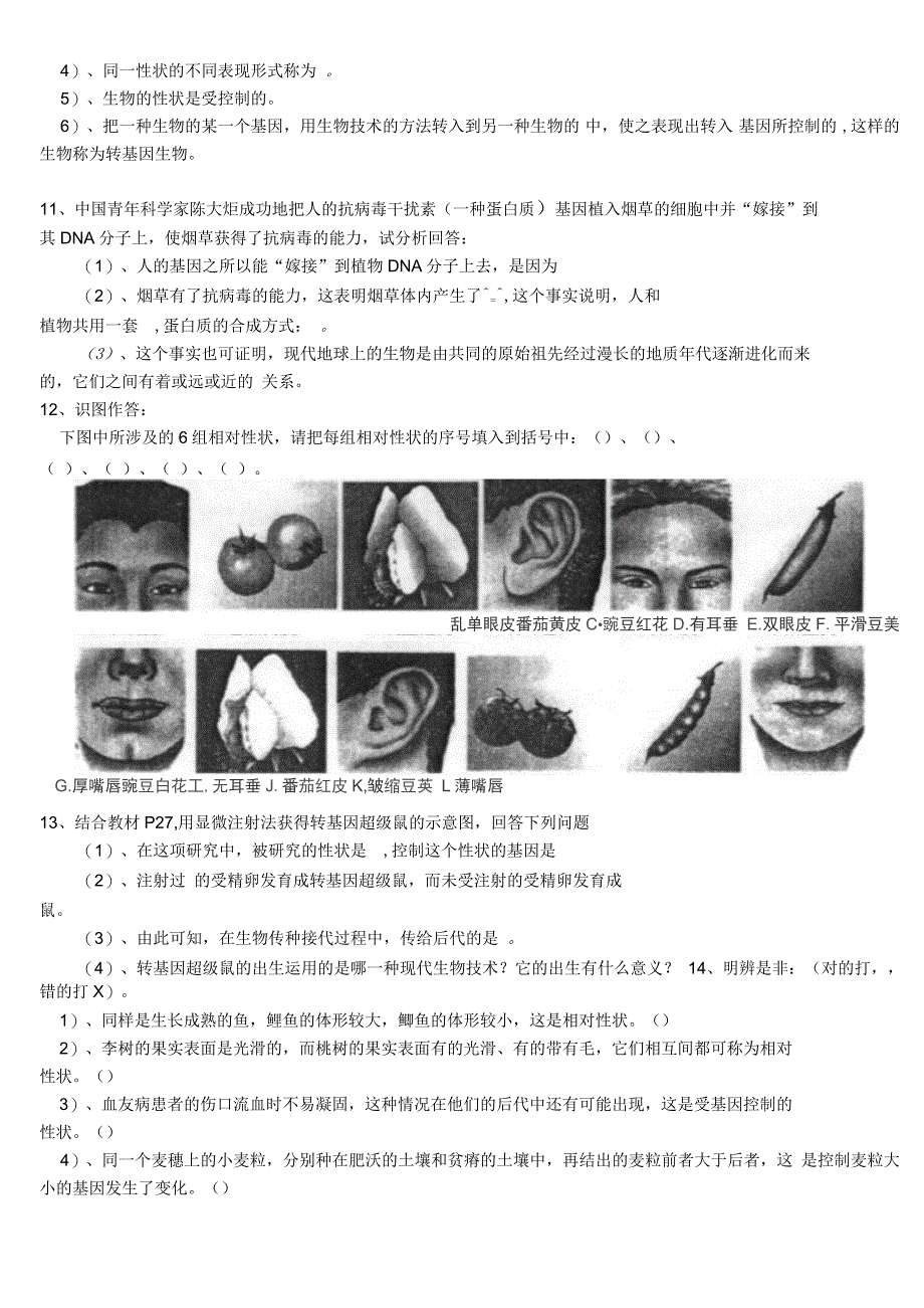 基因控制生物的性状学案_第3页