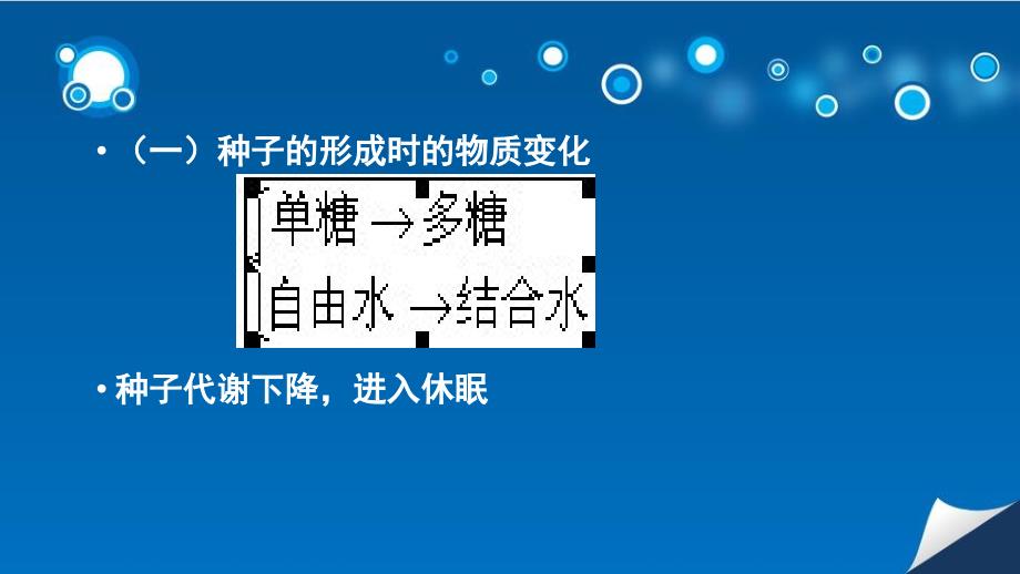 种子萌发过程中的物质变化_第2页