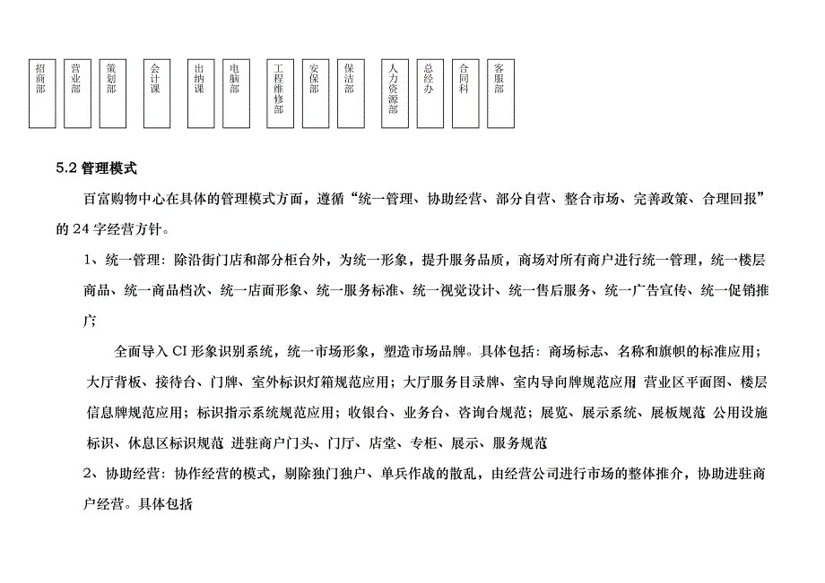 某著名商业项目招商、运营管理执行方案1034514188_第2页