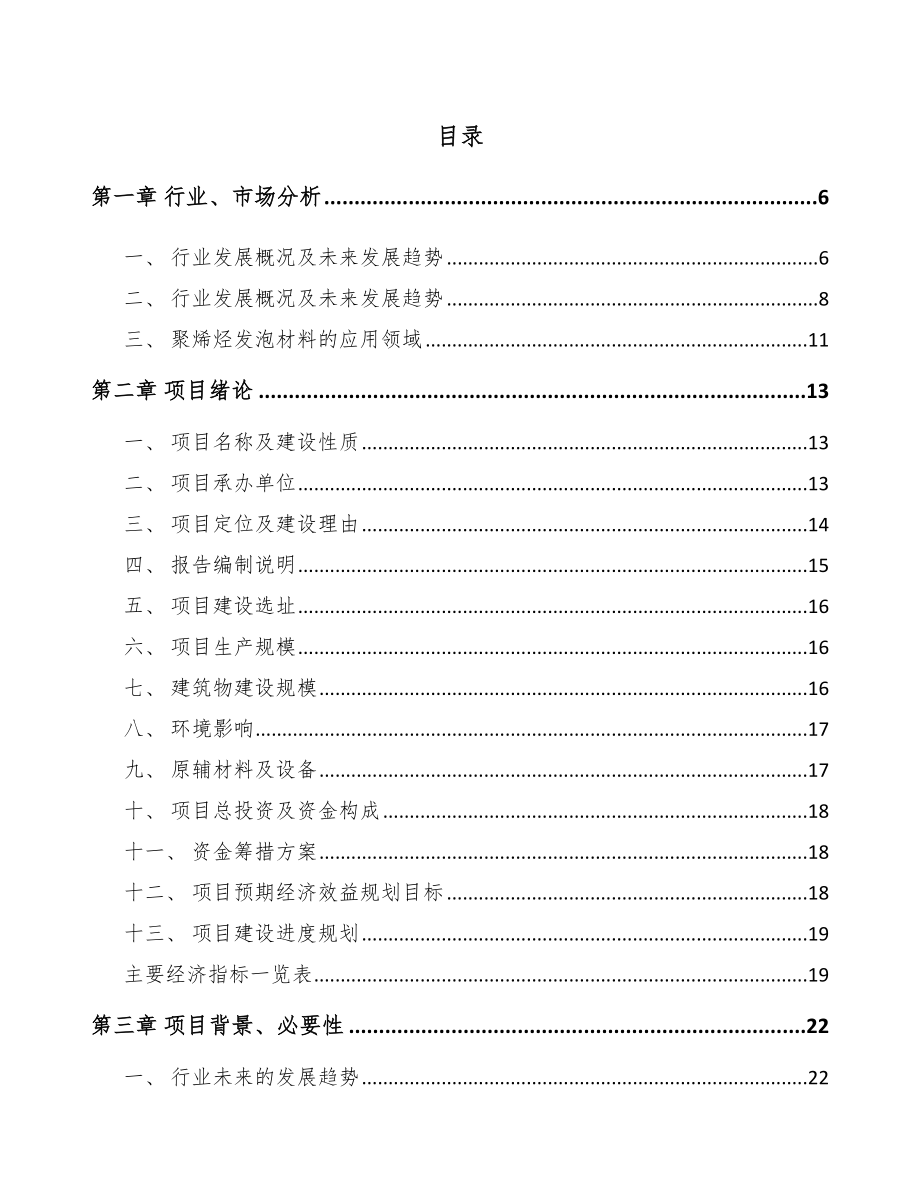 长沙发泡材料项目可行性研究报告_第2页