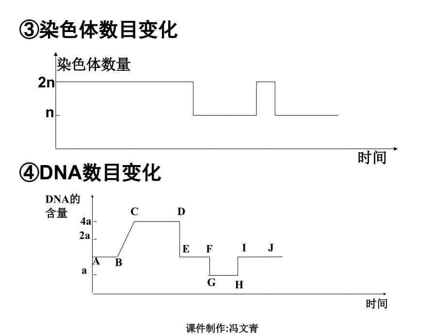 高中学业水平测试生物专题复习 6_第5页