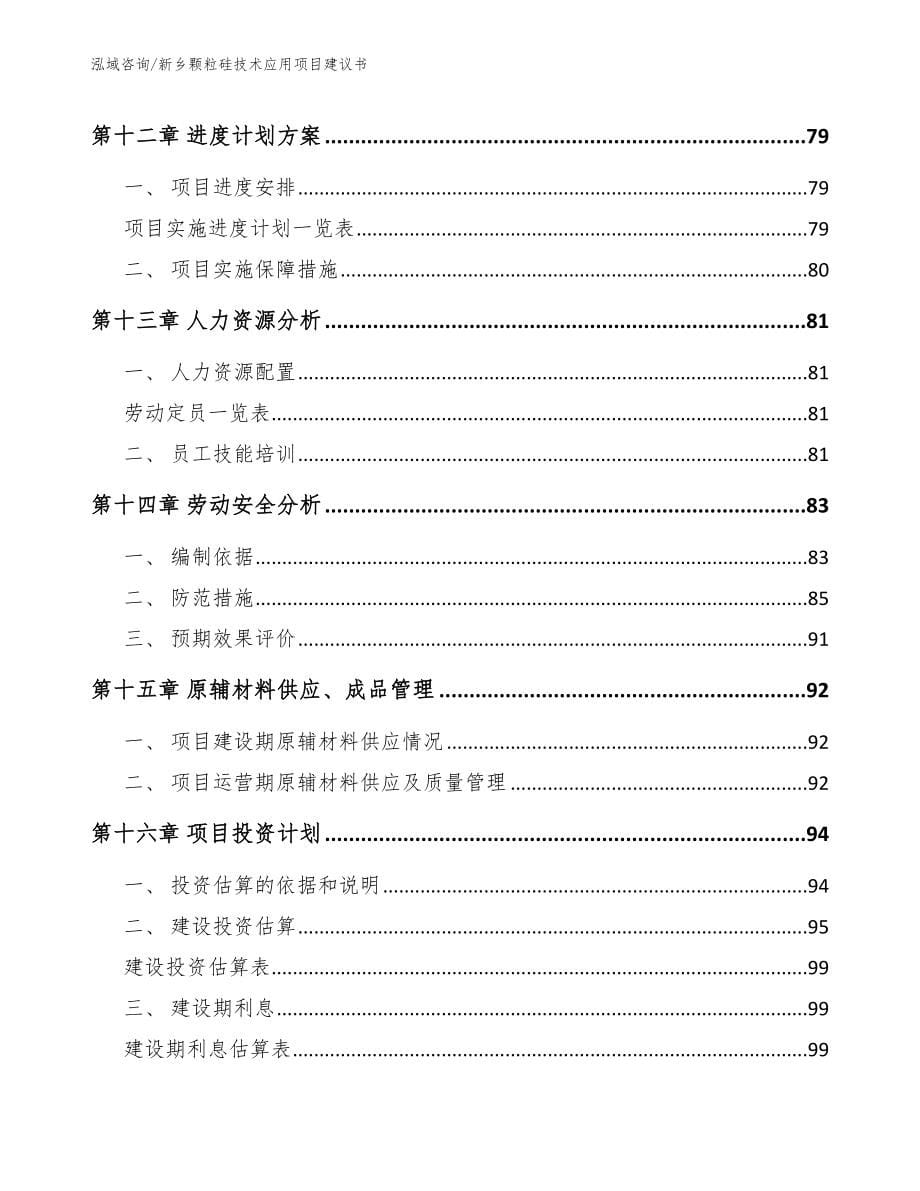 新乡颗粒硅技术应用项目建议书模板范文_第5页