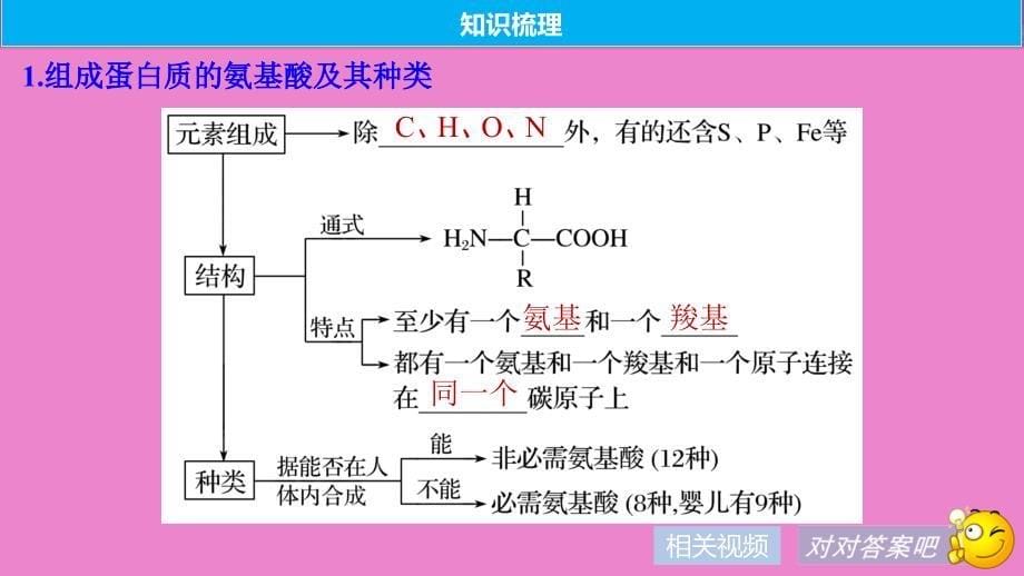 生物高考大一轮复习第一单元认识细胞与细胞的化学组成第3讲蛋白质和核酸课件北师大版_第5页