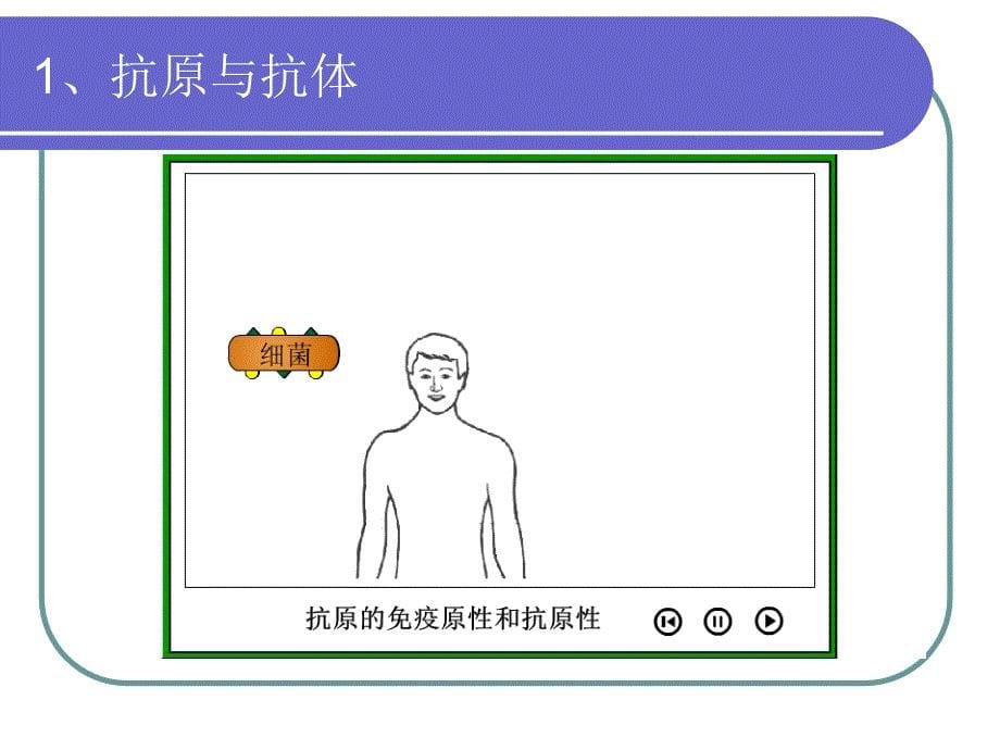 疫比浊检验技术原理与进展_第5页