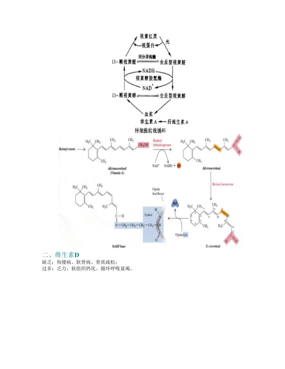 第11章 维生素与铺酶.doc_第2页