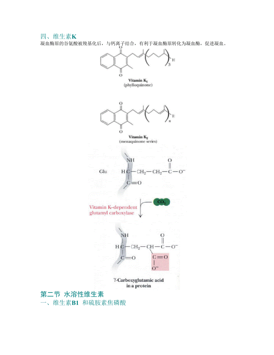 第11章 维生素与铺酶.doc_第4页