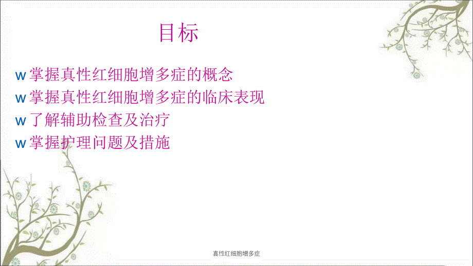 真性红细胞增多症课件_第2页