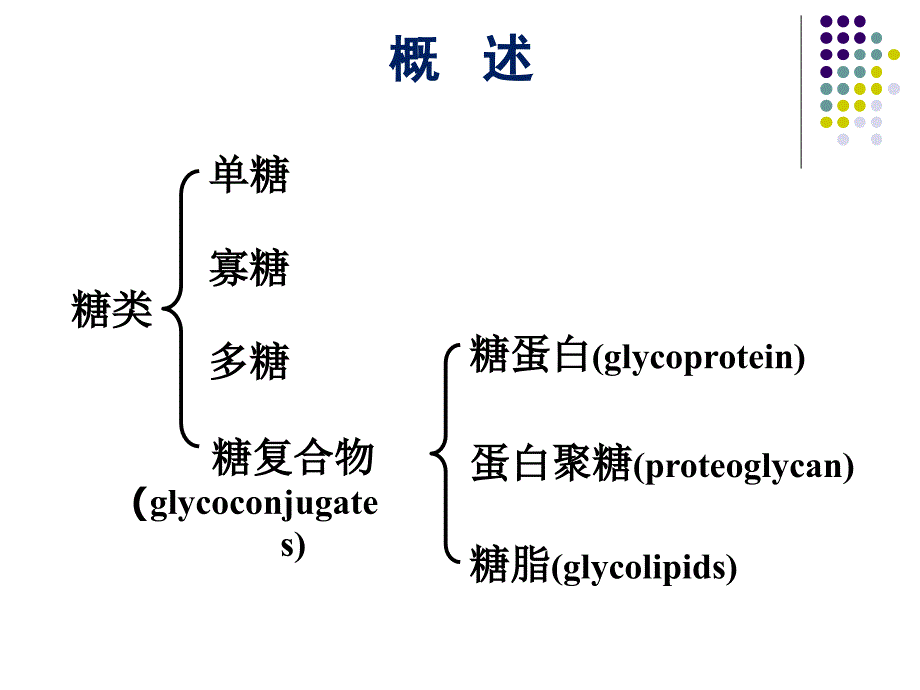 聚糖的结构与功能课件_第1页