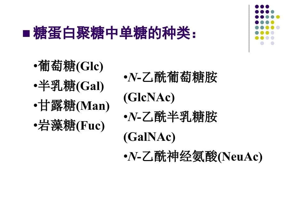 聚糖的结构与功能课件_第5页