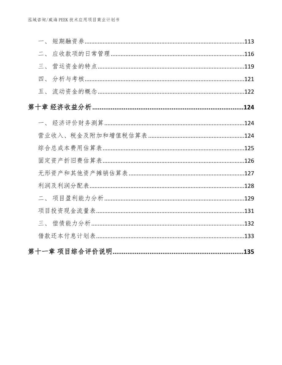 威海PEEK技术应用项目商业计划书_第5页