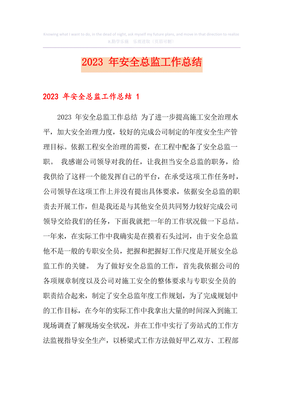 2023年安全总监工作总结_第1页