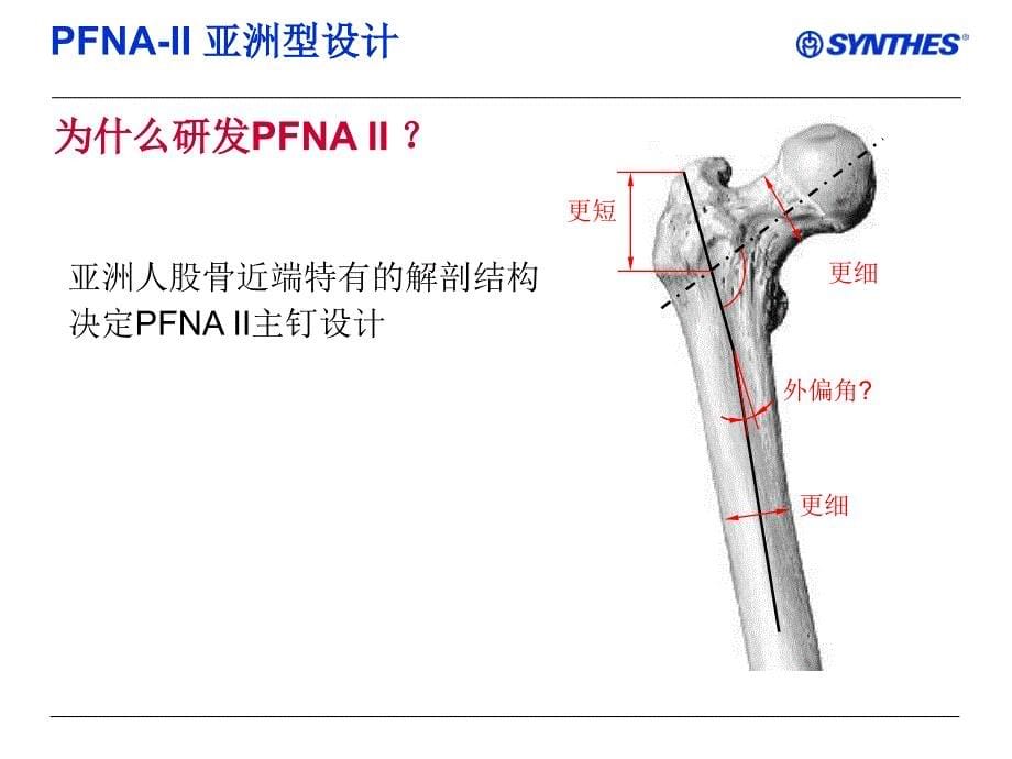 pfnaiichineseppt课件_第5页