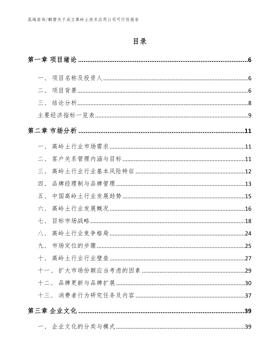 鹤壁关于成立高岭土技术应用公司可行性报告_参考模板_第2页