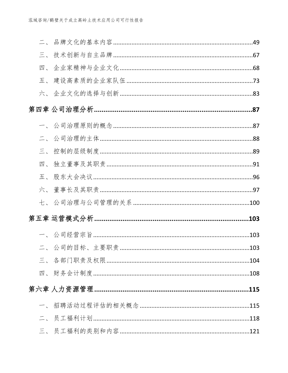 鹤壁关于成立高岭土技术应用公司可行性报告_参考模板_第3页