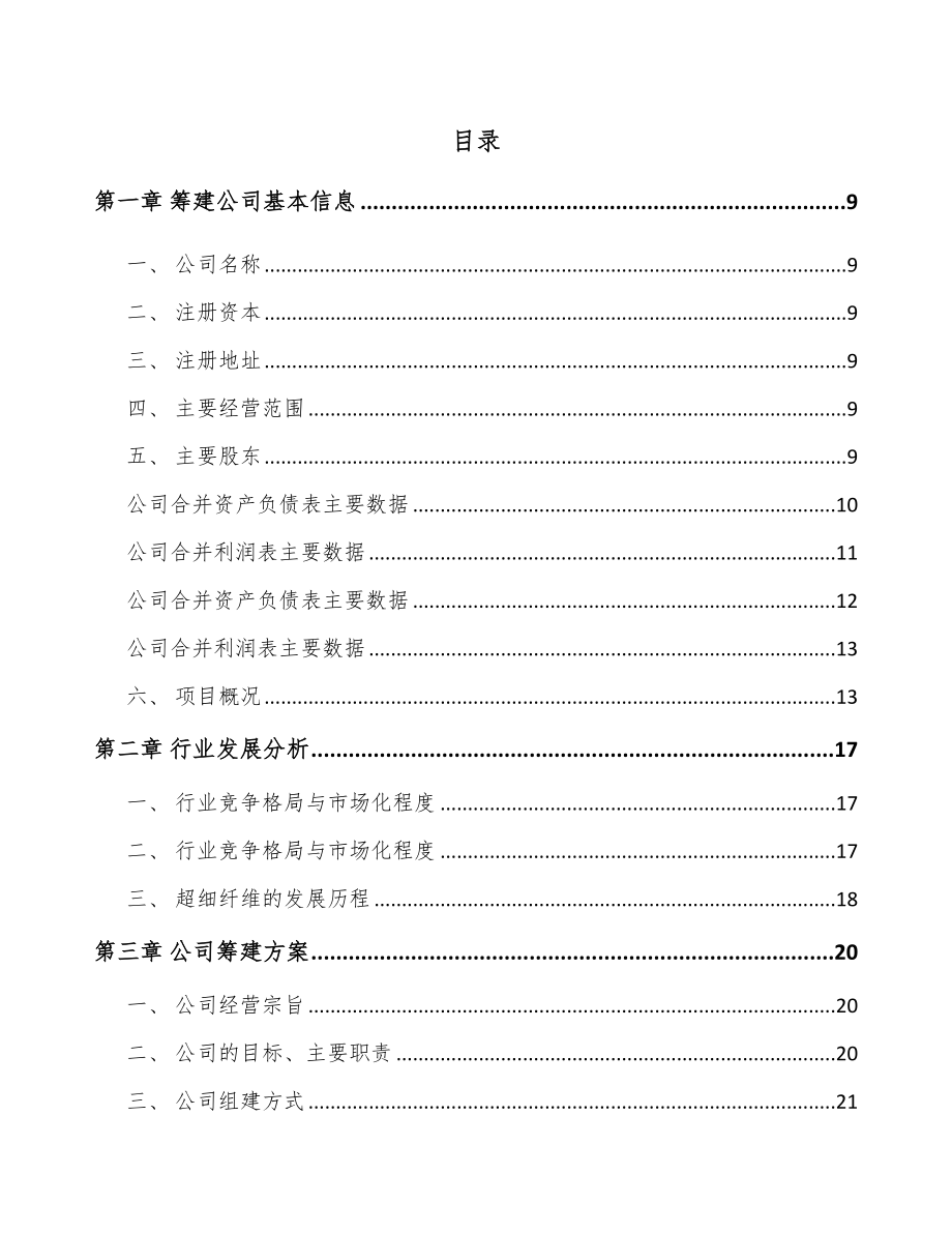 合肥关于成立复合纤维面料公司可行性报告_第2页