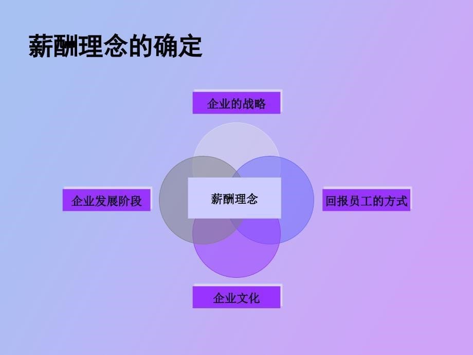 高效实用的的薪酬体系_第5页