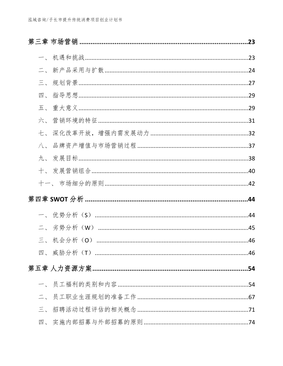 子长市提升传统消费项目创业计划书【模板范文】_第4页