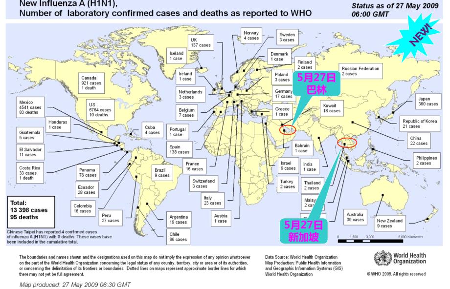 甲型HN世界流行趋势第20期WHO40_第4页