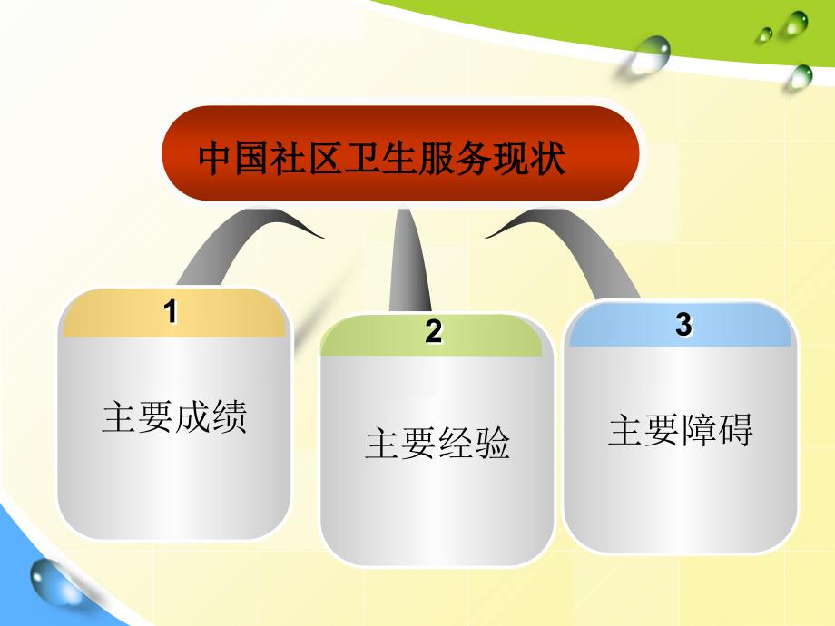 社会医学社会卫生服务的现状及发展趋势_第4页