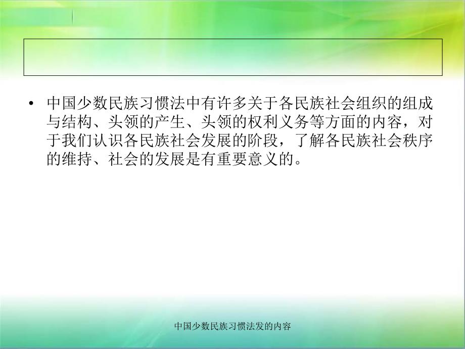 中国少数民族习惯法发的内容课件_第2页