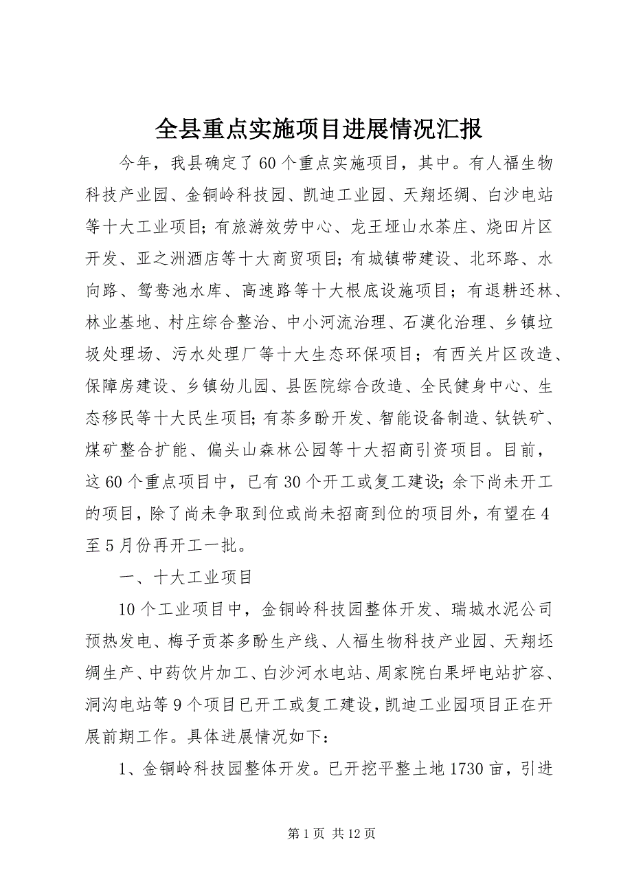 2023年全县重点实施项目进展情况汇报.docx_第1页