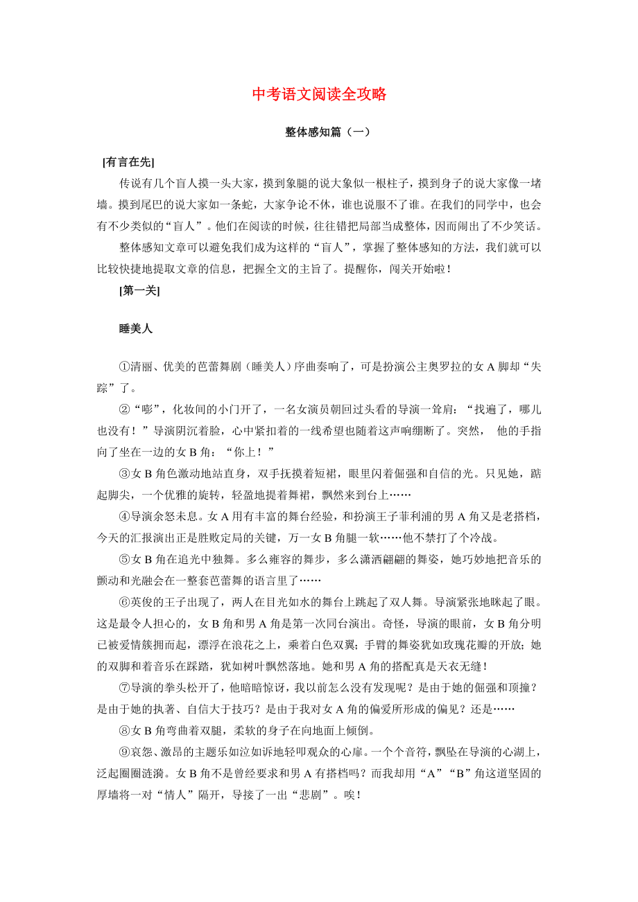 中考语文阅读全攻略.doc_第1页